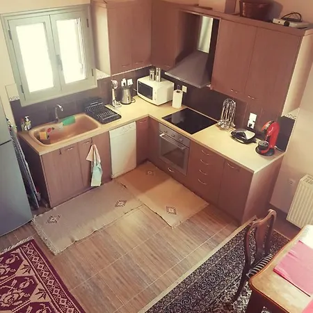 Family House Near Arachova, Delphi Holiday home *
